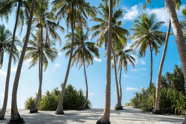 Embark on UK Cruises: Unearthing Medieval Monasteries – Your Ultimate Exploration Guide