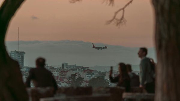 Discover the Rich Legacy of British Fruit Farming: Expert-Led UK Botanical Garden Tours